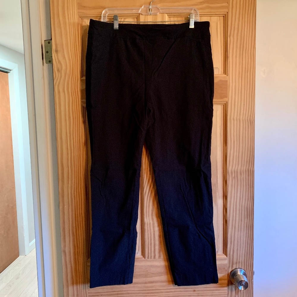 Charter Club Cambridge Skinny Size 16 Pants